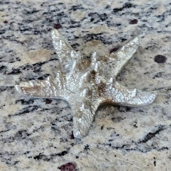 REGINA ANDREW MODERN SILVER STARFISH COASTAL BEACH VASE FILLER HOME TABLE DECOR - Picture 5 of 7